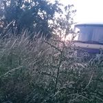 Alfred Bester - @alfred.bester.7399 - Instagram