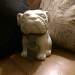 Alfred The Best Dog - @alfred.the.best.dog - Instagram