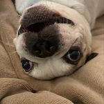 Best of Alfred - @beste_alfred_bilder - Instagram