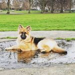 Alfred Brown - @alfred.brown.7923030 - Instagram