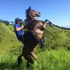 Alfredo Calderon Batista - @alfredocalderonba - TikTok