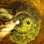 Alfred Cieszynski - @alski063 - Instagram