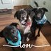 Susan Kinney Ciurzynski - Facebook