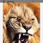 Alfred Cortes - Facebook