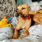Alfred Corbett - @alfie.c.2018 - Instagram