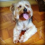 Cullen Alfredo Alkmim - @cullenalfredinho - Instagram