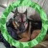 alfredday49 - @alfredday49 - TikTok