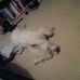 Alfie Doyle - Facebook