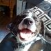Alfred Doyle - Facebook