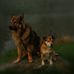 Alfred Eder - Facebook