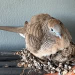 Alfred Eder - @alfreder27 - Instagram