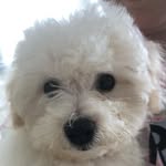 Alfie Elderton - @lord_alfred_elderton_ii - Instagram
