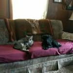 Alfred Elder - @stink_but_ - Instagram