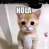 Alfredo - @emersonalfredorod - TikTok