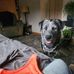 Alfred Erwin Erwin - Facebook