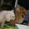 AlfredErwin - @alfrederwin7 - TikTok