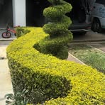 Alfred Escobar - Facebook