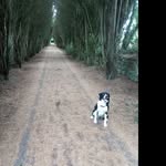 Alfie Dauncey - @alfred_flintstone - Instagram