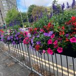 Alfred Ford - @alfredford76 - Instagram