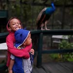 Alfred Fox - @alfred.fox.7771 - Instagram