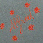 Alfred Francis - @alfred.agcn - Instagram