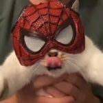 Alfred Francis Tsai - @alfred._.tsai - Instagram