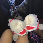 Alfred And Frederick - @alfredandfrederickthesharks - Instagram