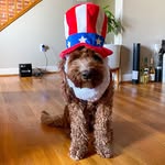 Alfred George Frederick Glasby - @thedoodleglasby - Instagram