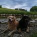 Alfred Hager - Facebook