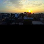 @alfred_haleh - Instagram