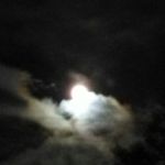 Alfred Hamilton - @hamilton.alfred - Instagram