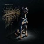 Alfred hämmerling - @hammerlingalfred - Instagram