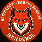 Handebol - Alfredão - @handebol.alfredao - Instagram