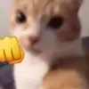 Alfredo - @alfredo_harmony - TikTok