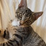 Alfred Heathcliff Burke Pearce - @alfredheathcliff - Instagram