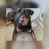 Alfred Hein - @alfred.hein - TikTok