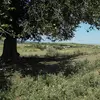 ?Alfred Hein - @alfred.hein4 - TikTok