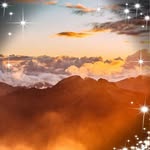 Alfred Hoffmann - @hoffmannalfred5 - Instagram