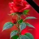 Alfred Jack - Facebook