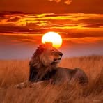 Alfred Jackson - Facebook