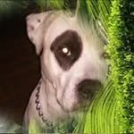 Alfred Jackson - @alfred.jackson.756859 - Instagram