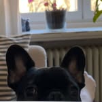 Alfred Jan Liikamaa - @alfredliikamaa - Instagram