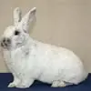 Alfred Jansen - @alfred.jansen8 - TikTok