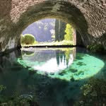 Alfred Kaiser - @alfred_kaiser - Instagram