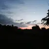 AlfredKaiser - @miakoehqeft - TikTok