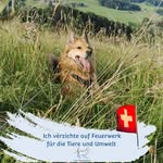 Coup - @alfred.kaiser.37 - Instagram