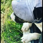 $_Альф_$ - @_alfred_king_ - Instagram