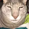 Alfred Lambert - @alfred.lambert2 - TikTok