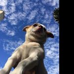 @alfred_lenzx - Instagram