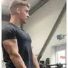 Alfred Hollowell - @alfredhollowell - TikTok